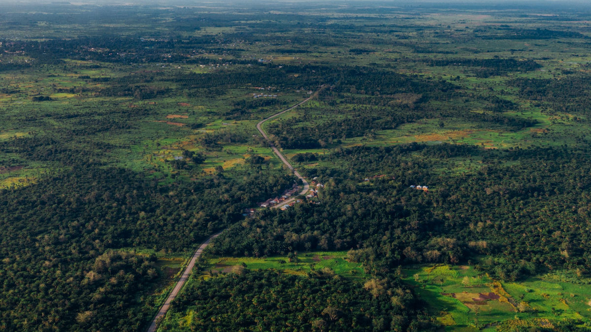 Green countryside of Central Africa from above