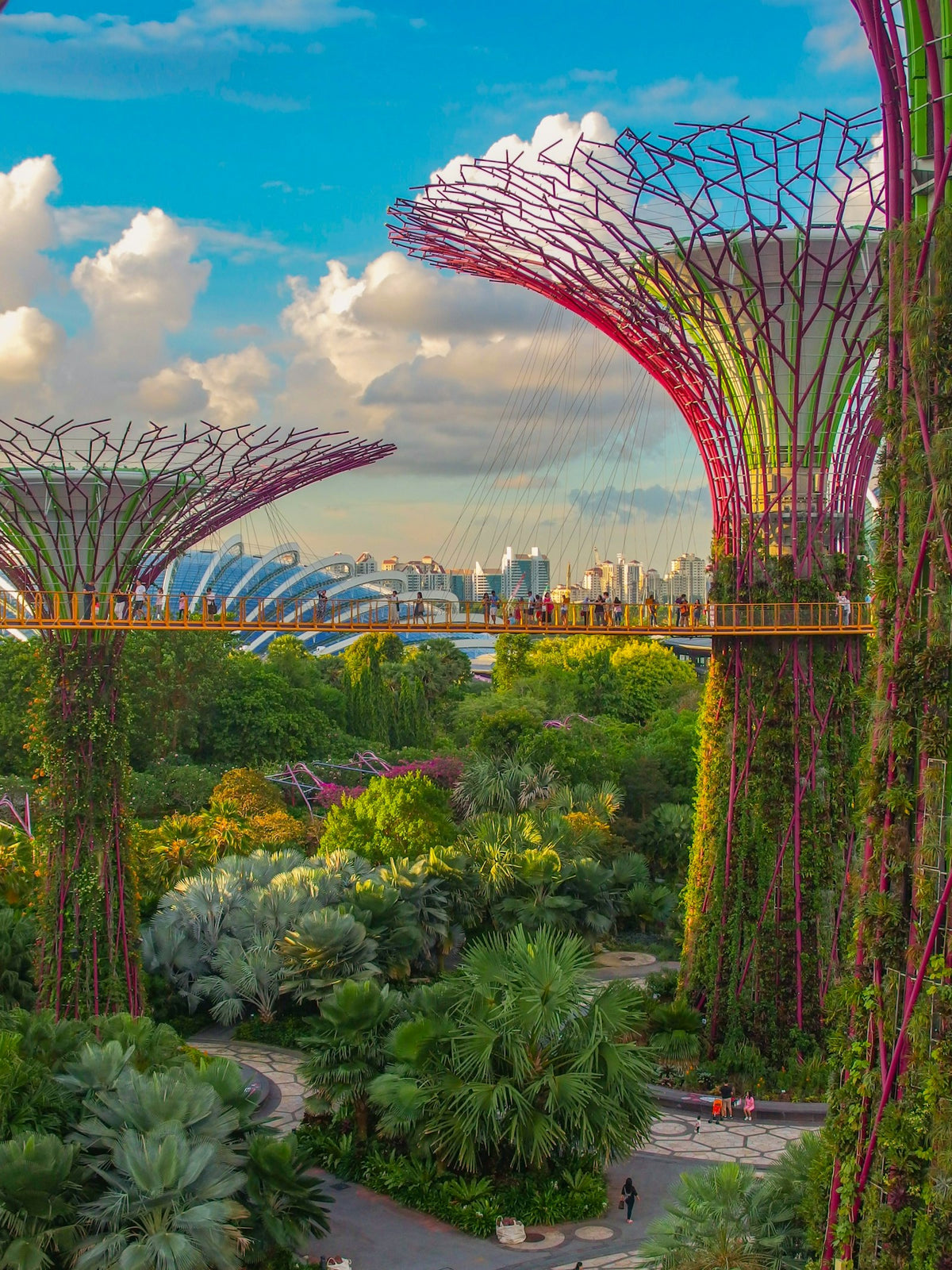 Supertrees at Gardens by the Bay