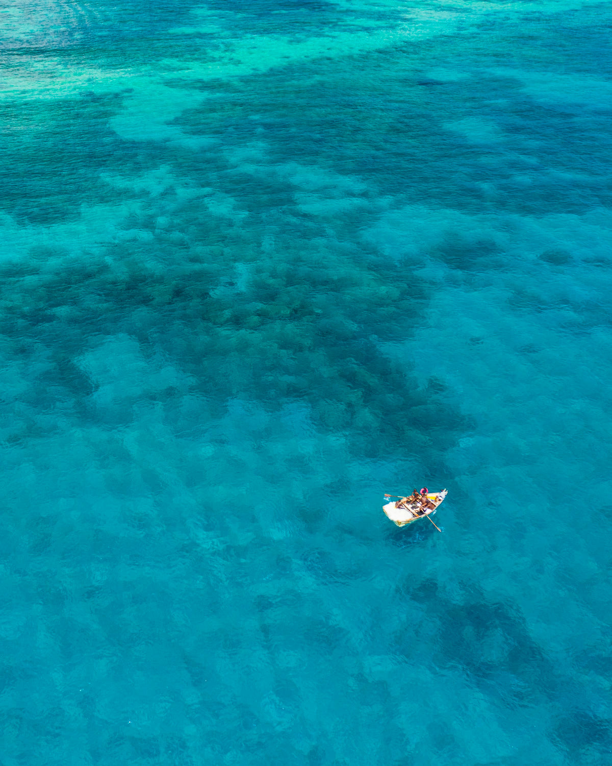 Dhow sailing on calm water, Mozambique