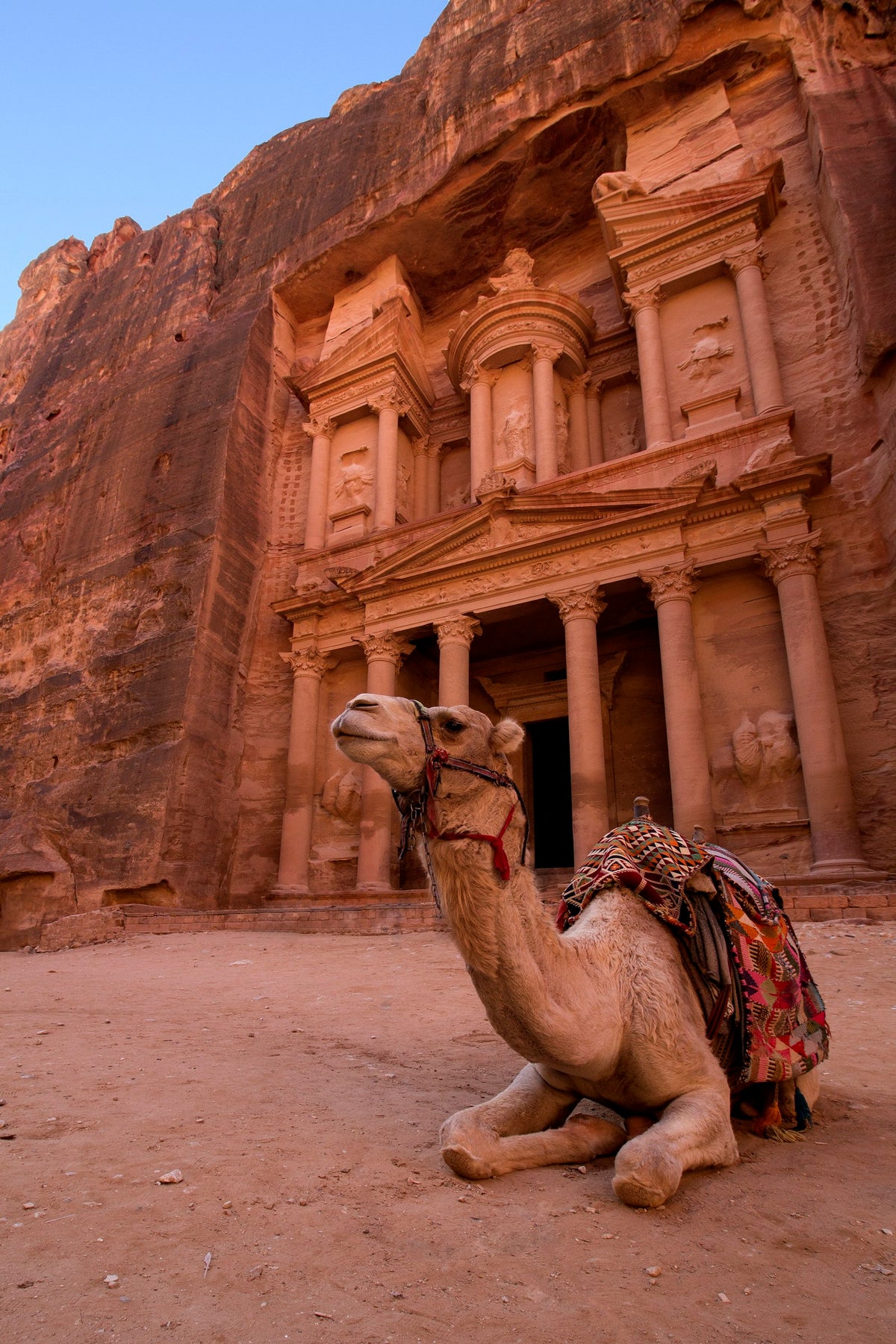 Camel in front of rock formations, Jordan