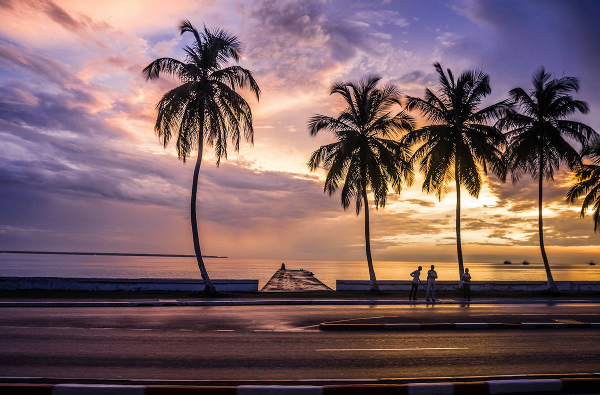 Palm tree at sunset on the Gabon coast