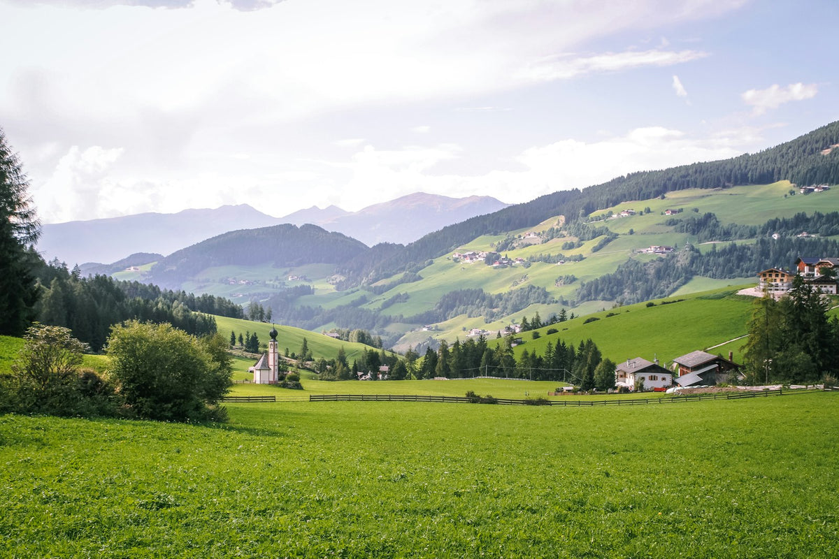 Austrian Alps meadows