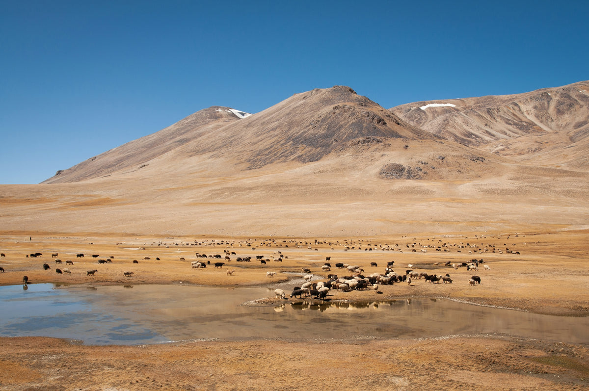 Pamir Mountains, Tajikistan