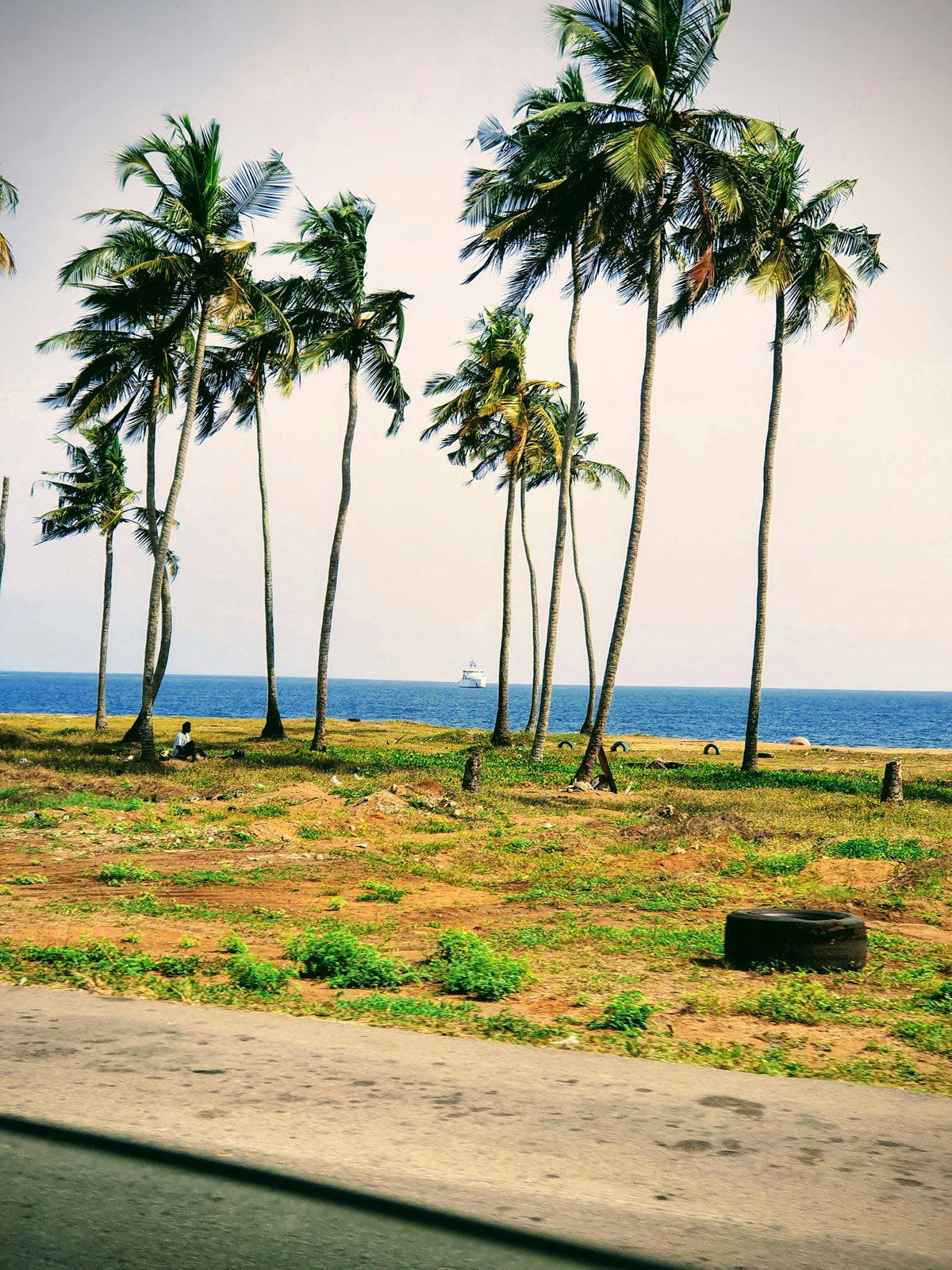 Palm-lined coast of Côte d'Ivoire