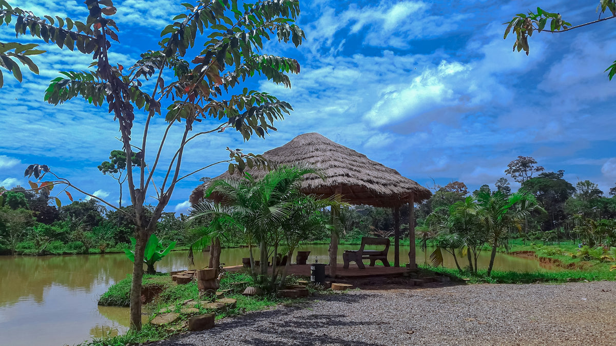 Beach hut on the Cameroon coast