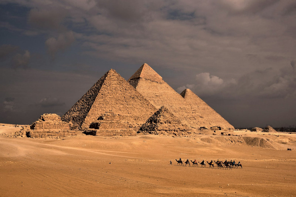 Camels in front of the pyramids