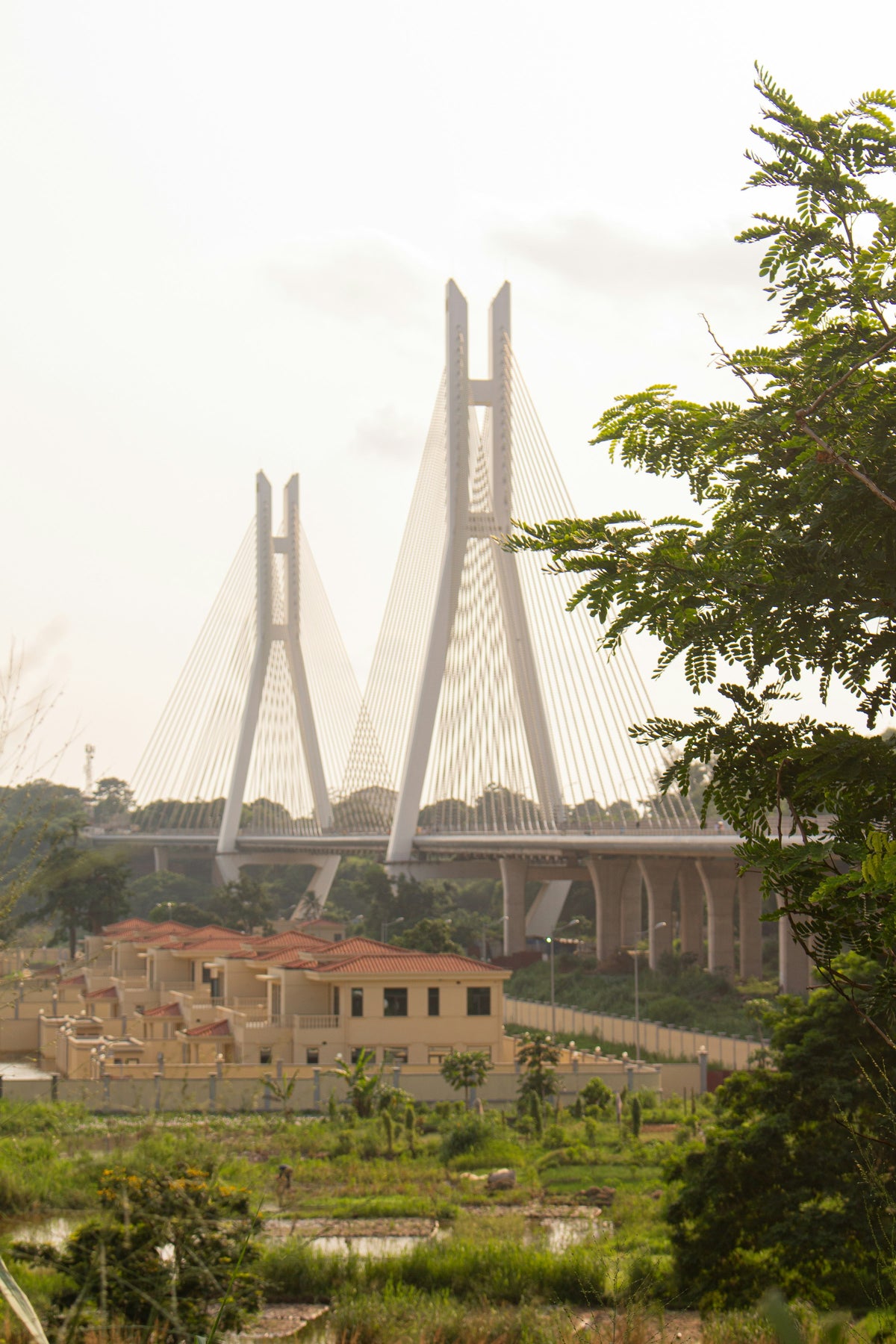 Bridge over green landscape, Congo