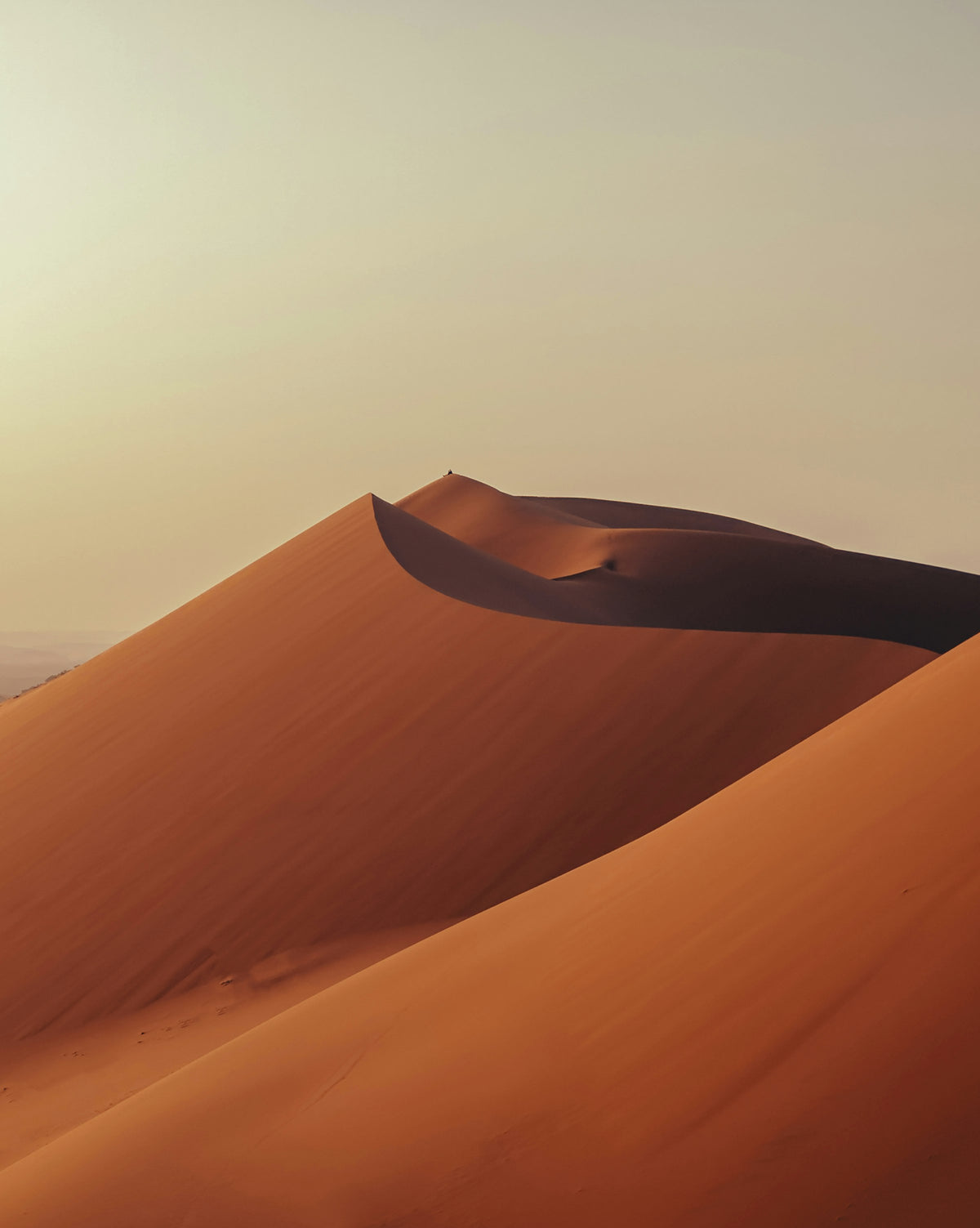 Sahara dunes, Algeria