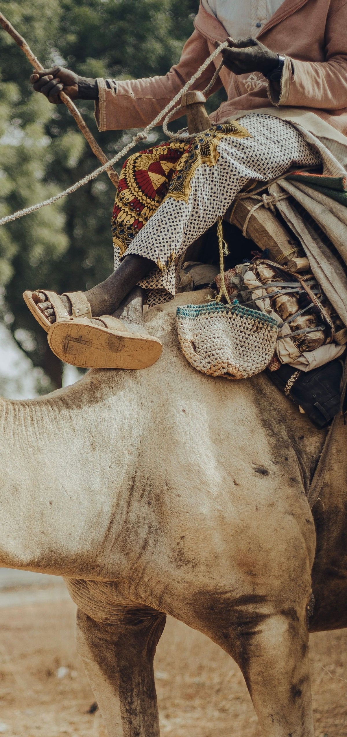 Camel rider in traditional attire, Niger