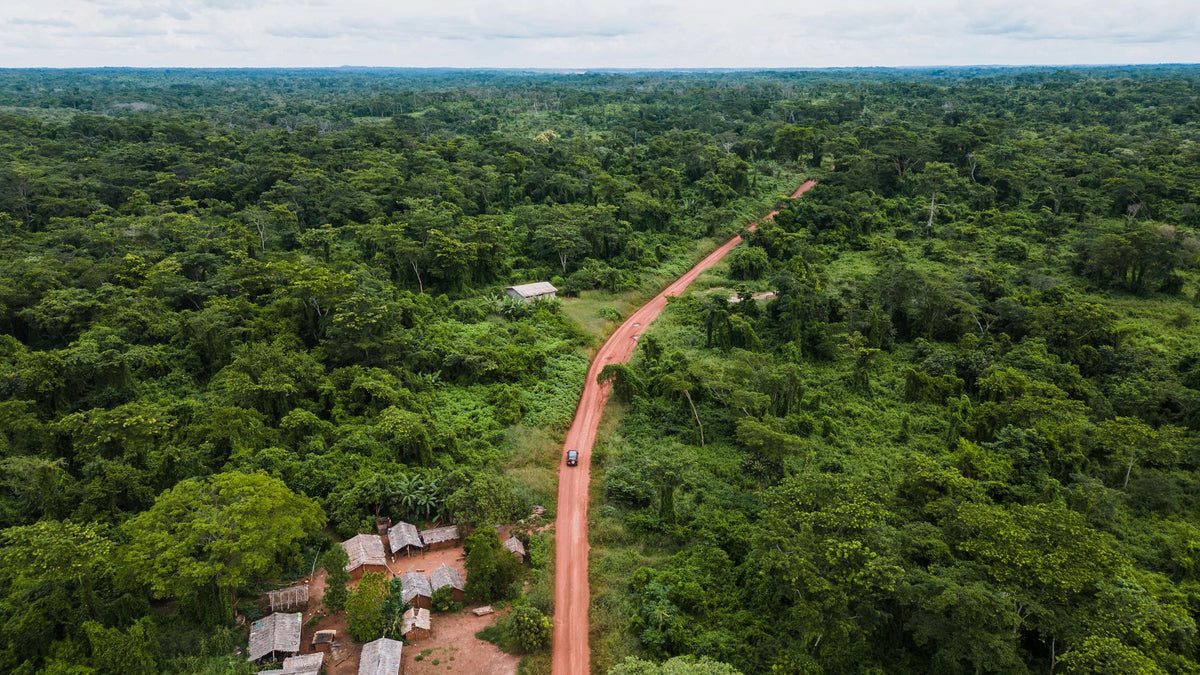 Dirt road through tropical forest, Central Africa