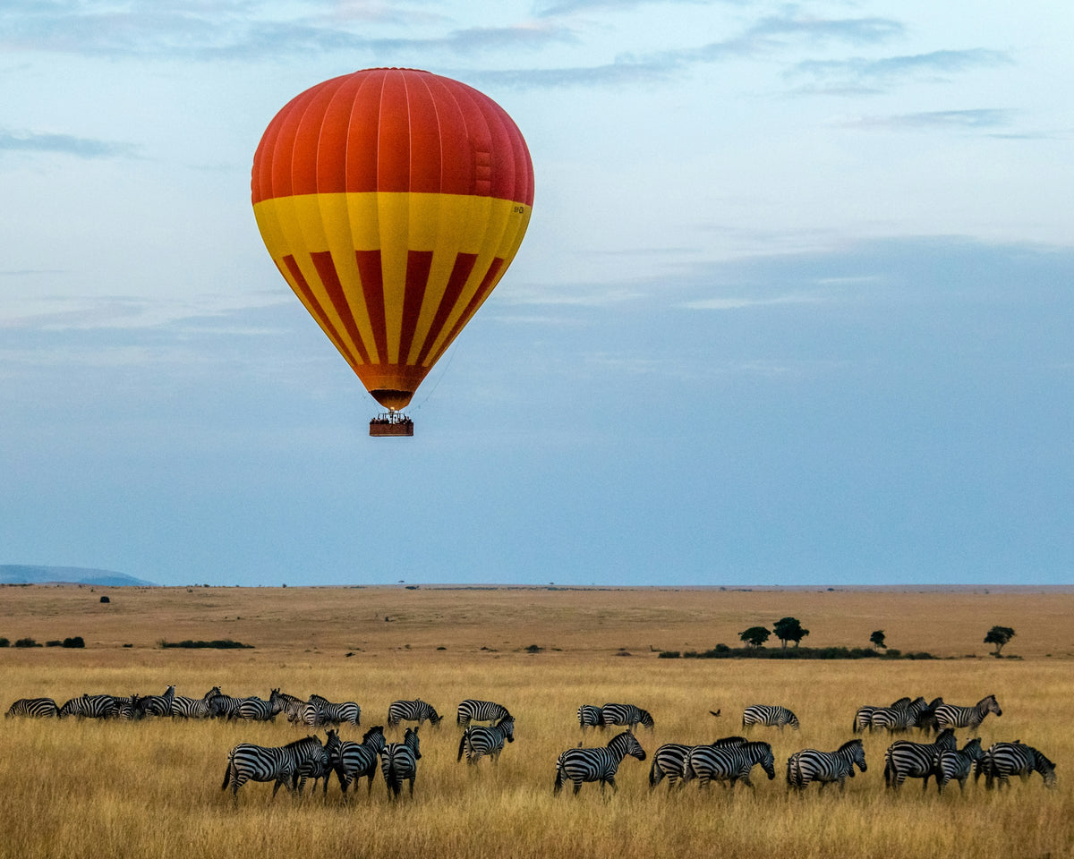 Hot air balloon over zebras, Serengeti