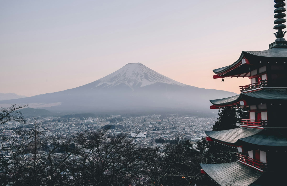 Chureito Pagoda and Mount Fuji