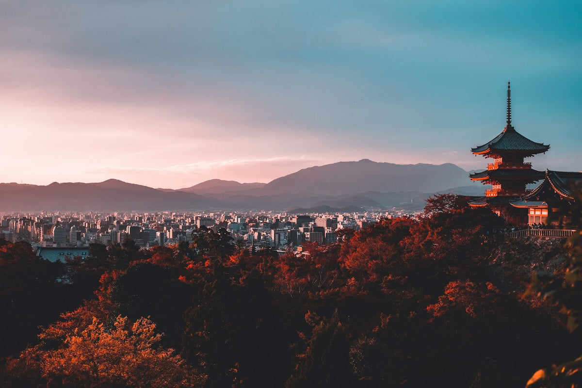Pagoda among the trees, Japan