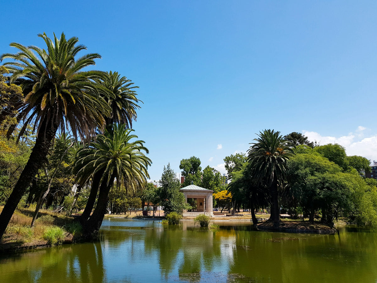 House by the water with palm tree, Uruguay