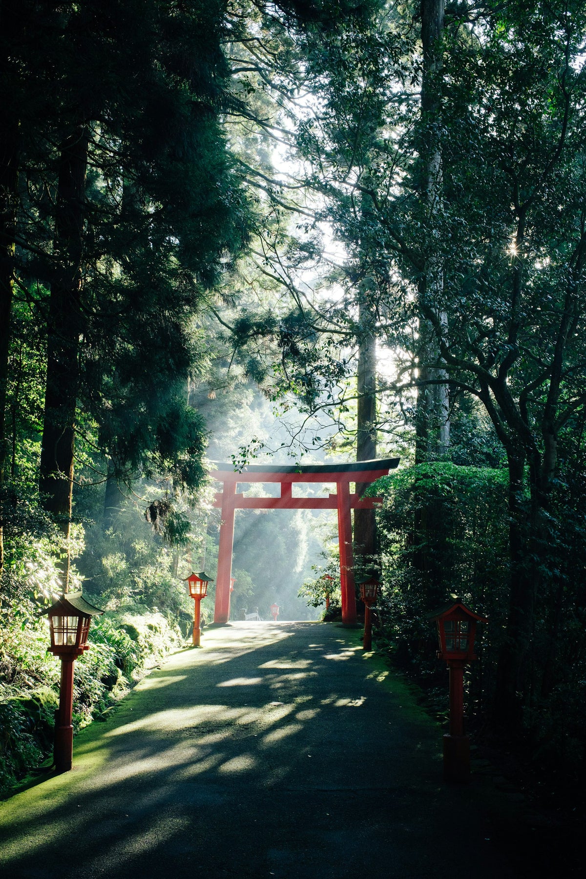 Red torii gate on a forest path