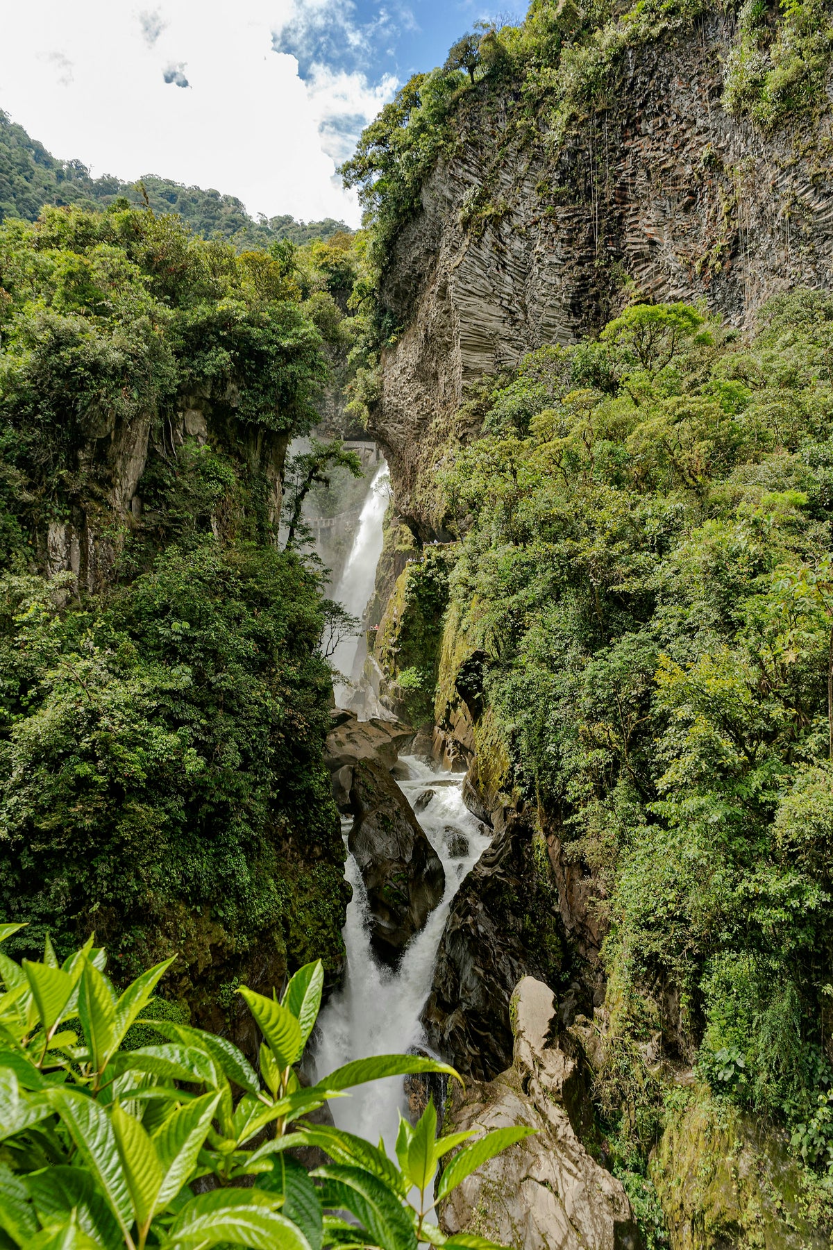 Amazon rainforest river, Ecuador
