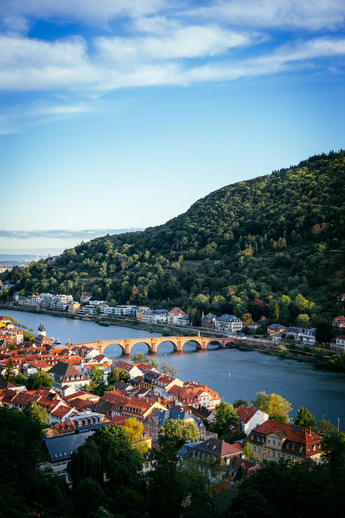Old Bridge, Heidelberg