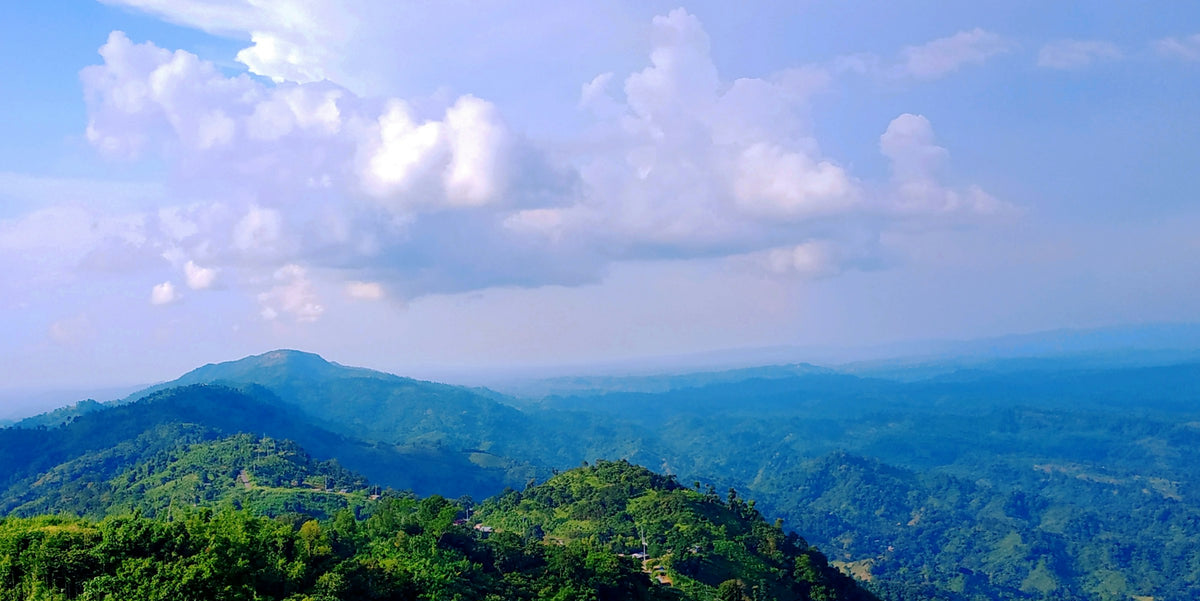 Green hills of Bandarban