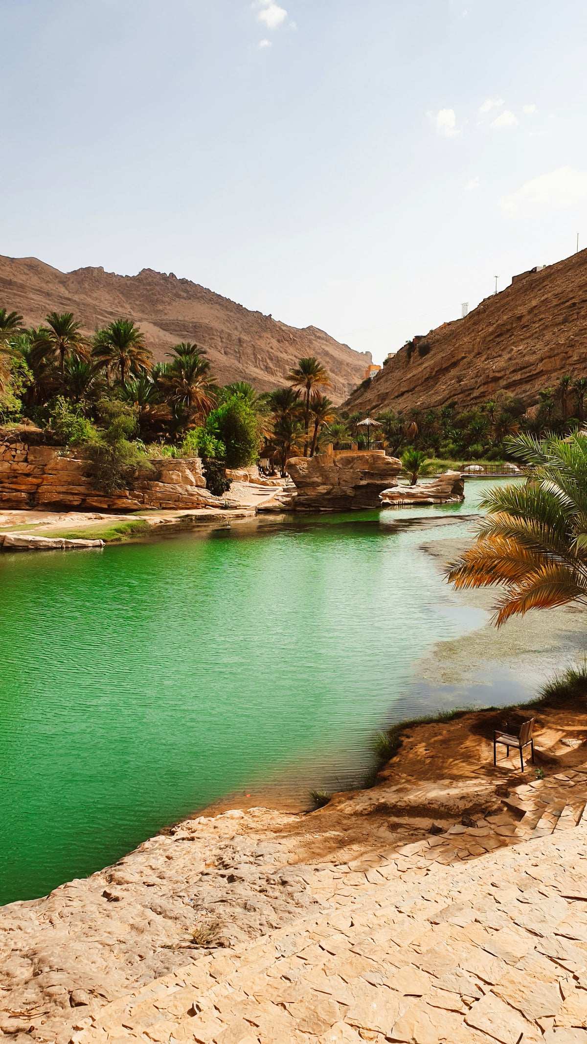 Wadi with palm trees and mountains, Oman