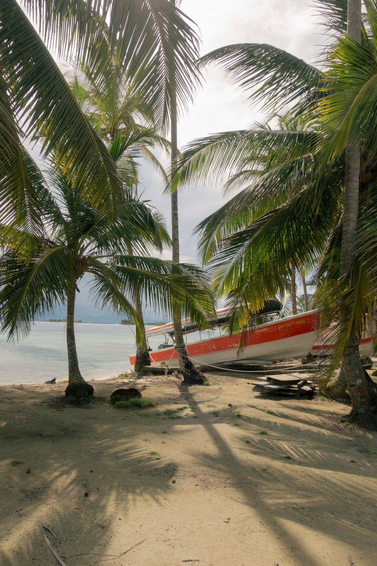Boat on a palm-lined beach, Panama