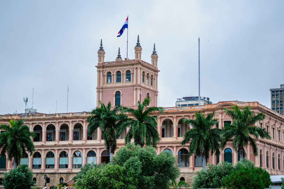 Palacio de los López with palm trees, Asunción