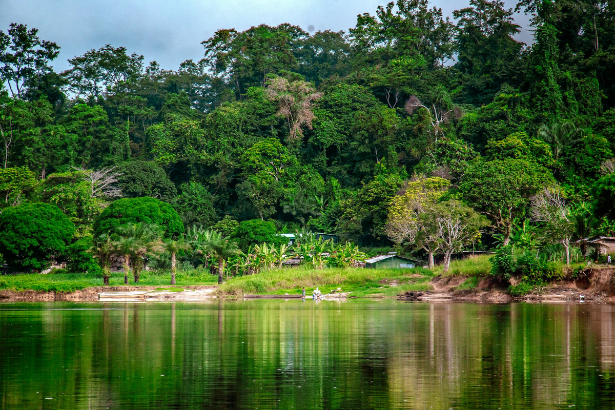 River through lush rainforest, Gabon