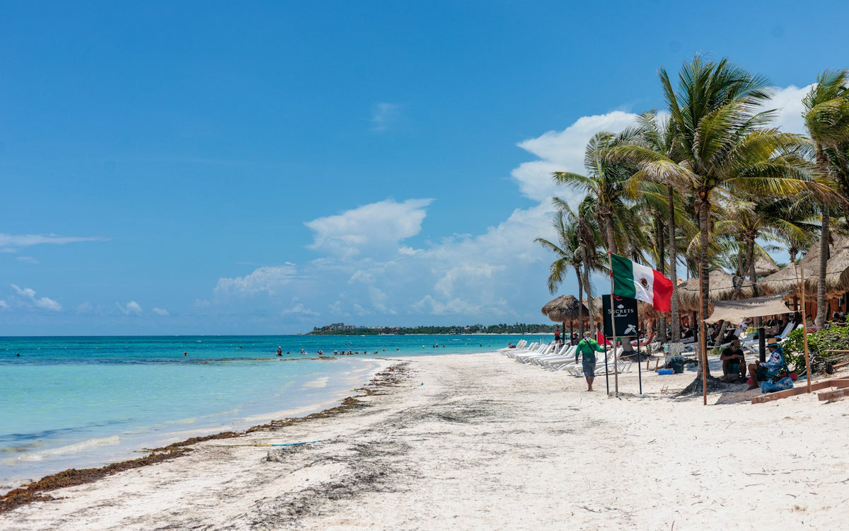 Caribbean beach with palm trees, Mexico