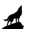 WolfieSIM